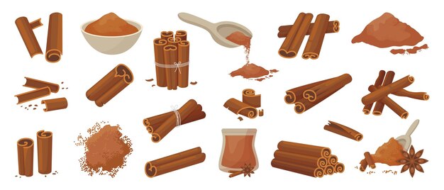 especias de canela en palos y polvo elementos culinarios canelas en cuencos cuchara y bebidas elementos frescos orgánicos clipart vectorial neotérico