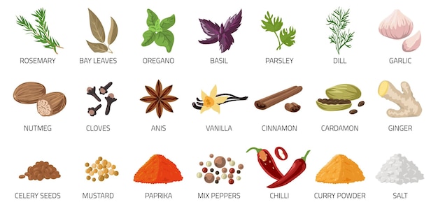 Vector especias de dibujos animados comida y condimentos para platos condimento seco pimienta picante y anís raíz de jengibre cardamomo o polvo de curry orégano y albahaca sal vectorial o conjunto de ingredientes picantes para cocinar