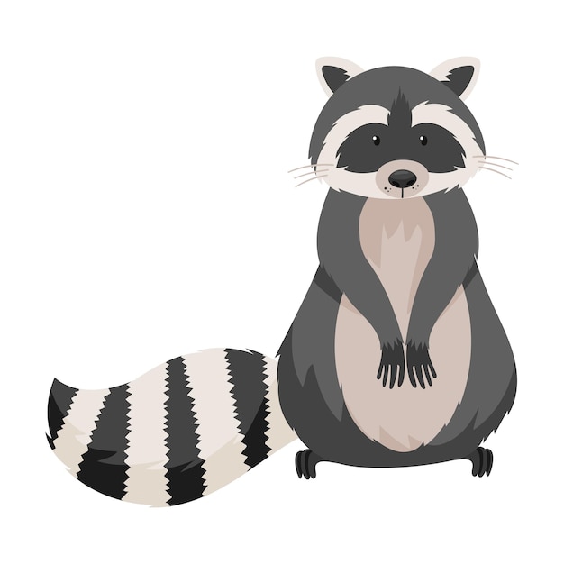 Especies de mapaches con cola rayada de pie en las patas traseras Ilustración vectorial