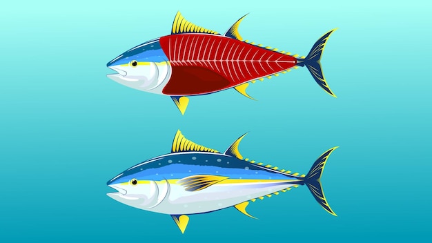 Especies de peces comerciales Atún de aleta amarilla Icono plano de dibujos animados de ilustración vectorial aislado en blanco