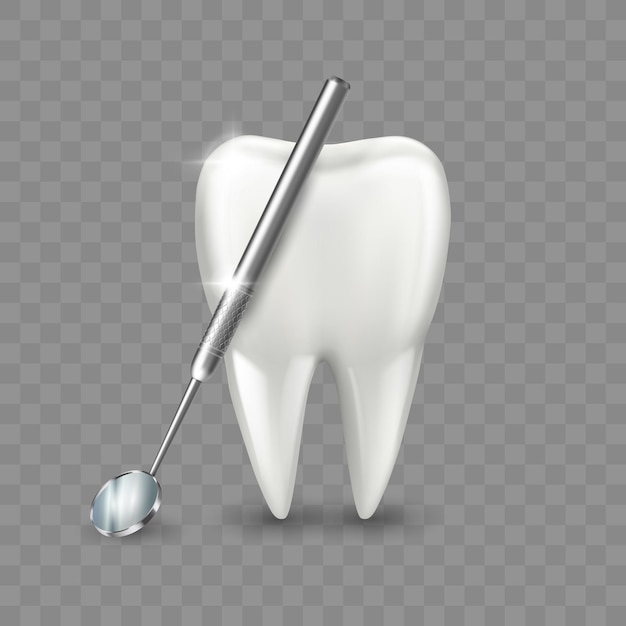 Espejo dentista para dientes con dientes molares sanos
