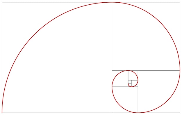 Vector espiral de fibonacci proporción áurea