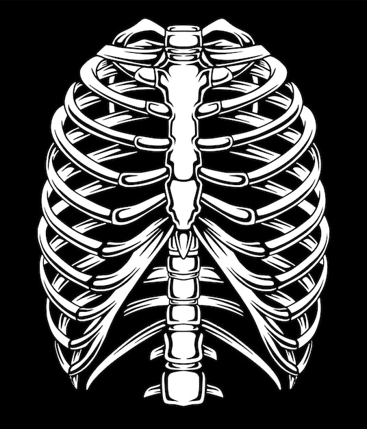 Esqueleto Cuerpo Ilustración simple