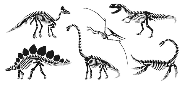 Vector esqueleto de dinosaurio aislado conjunto de huesos de dinosaurio fósil