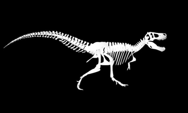 Esqueleto de dinosaurio aislado sobre fondo negro tyrannosaurus rex animal prehistórico gráficos vectoriales