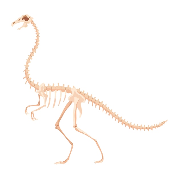 Esqueleto de dinosaurio icono de monstruos de dino Forma de animal real Esbozo de reptiles prehistóricos Ilustración vectorial aislada en blanco Esbozo dibujado a mano