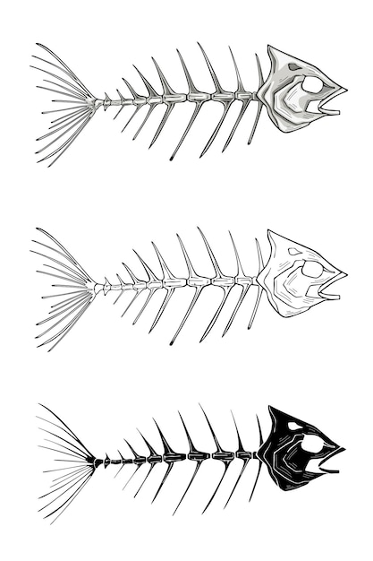 Vector esqueleto de pescado. ilustración en blanco y negro de tinta