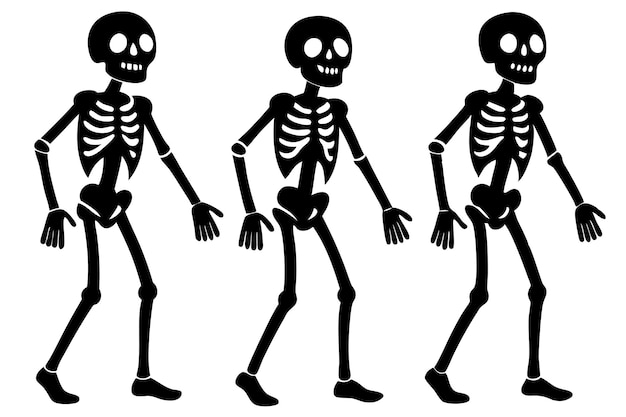 Esqueleto de la tripulación Esqueletos animados Ilustración vectorial