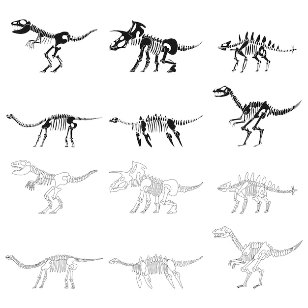 Esqueletos de dinosaurios vector conjunto de siluetas negras aisladas sobre fondo blanco.