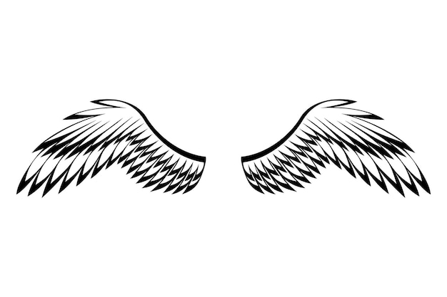 Esquema de alas de pájaros estilizados alas dibujadas a mano con contornos de ala de adhesivo en diseño vectorial de posición abierta
