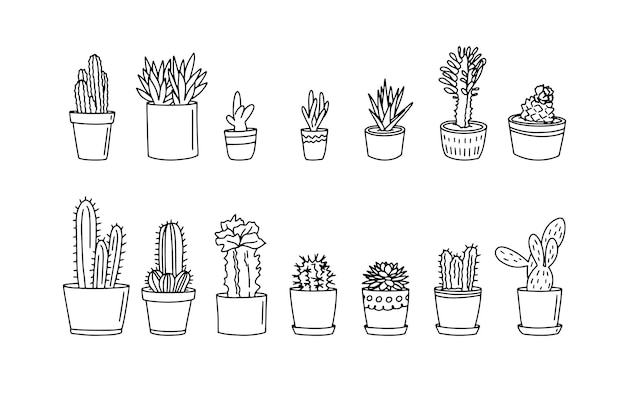 Esquema de cactus boceto plantas dibujadas a mano doodle maceta simple estilo de línea aislada