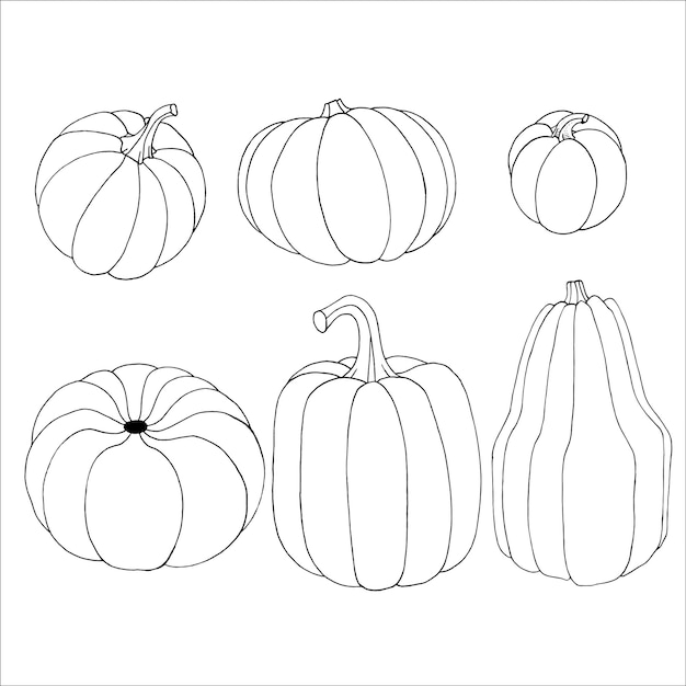 Esquema de calabaza EPS