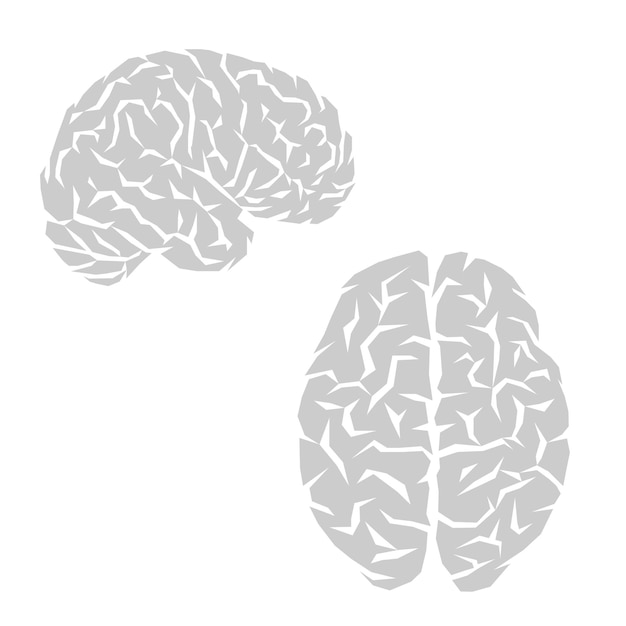 Vector esquema del cerebro humano