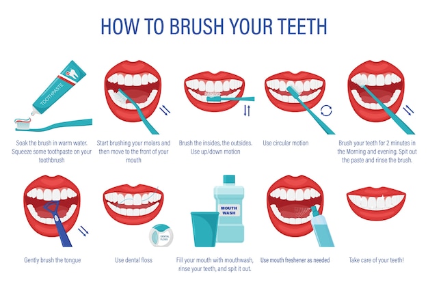 Vector esquema de cómo cepillarse los dientes. instrucciones paso a paso.