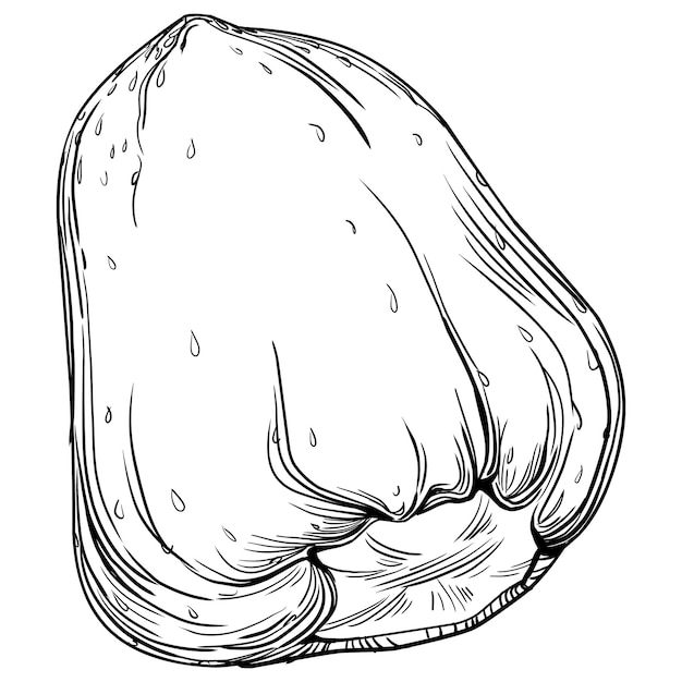 Esquema dibujado a mano