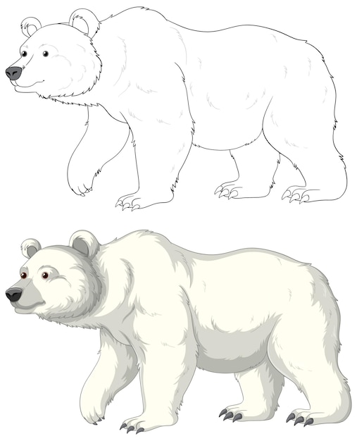 Esquema de dibujos animados de oso polar