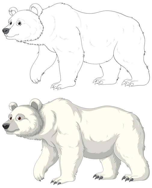 Esquema de dibujos animados de oso polar