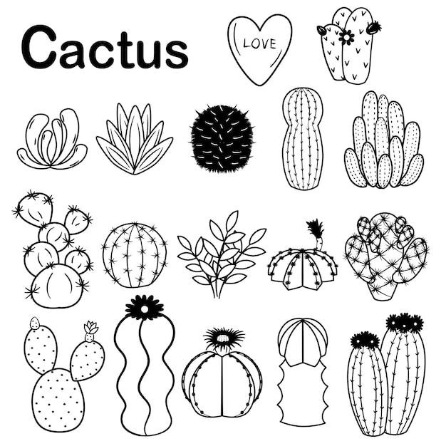 Esquema garabato cactus. juego de arte de línea en blanco y negro de cactus dibujado a mano.