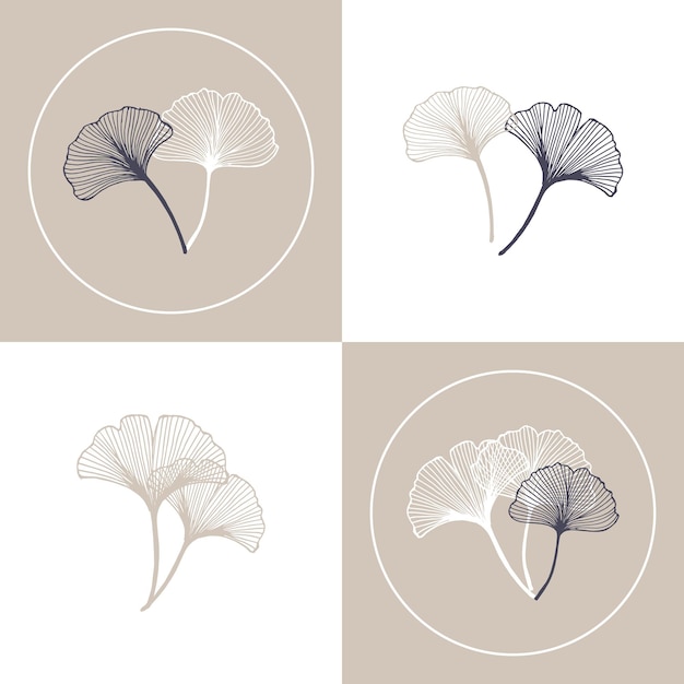 Esquema de hojas de ginkgo biloba conjunto de postales diseño minimalista colores pastel Imprimir cartel vector