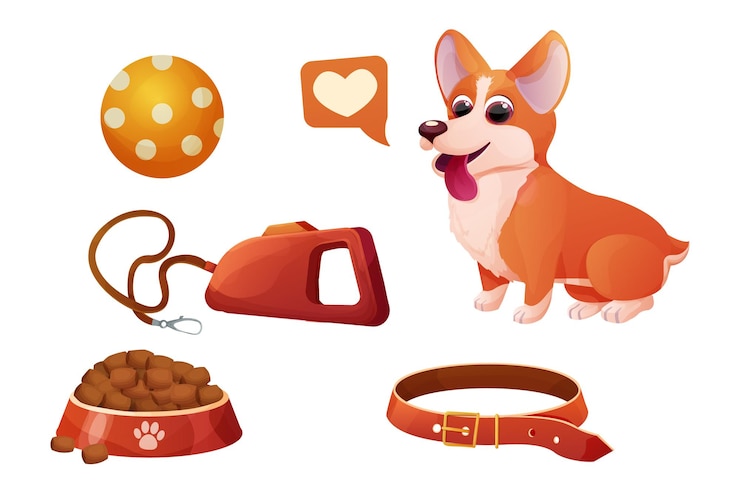 Vector establecer accesorio corgi perro sentado, adorable mascota, tazón con comida, correa en estilo de dibujos animados