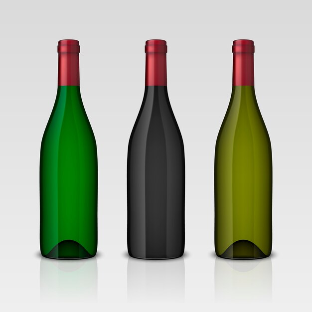 Vector establecer botellas de vino realistas