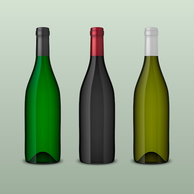 Establecer botellas de vino realistas