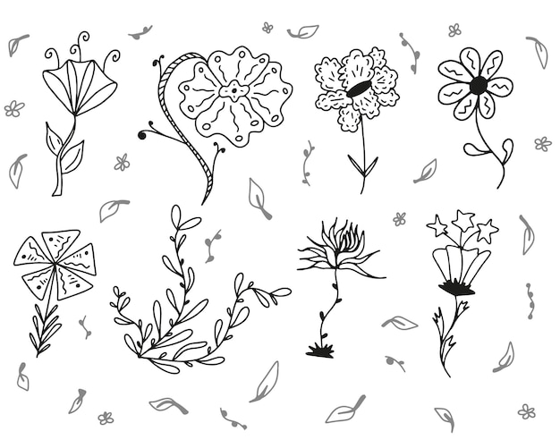 Vector establecer colección doodle flor dibujada a mano
