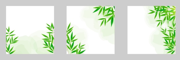 Vector establecer colección de fondo de acuarela de hoja de árbol de bambú verde realista