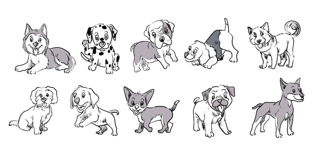 Establecer colección de razas perro mano dibujo icono carácter vector ilustración