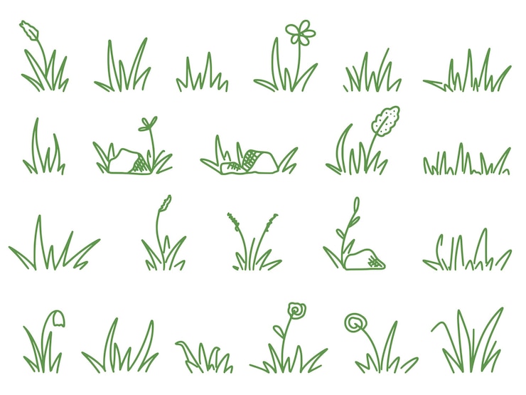 Vector establecer estilos de bocetos de garabatos de hierba campo de hierba dibujado a mano flores silvestres y hierbas brotan trébol de flores