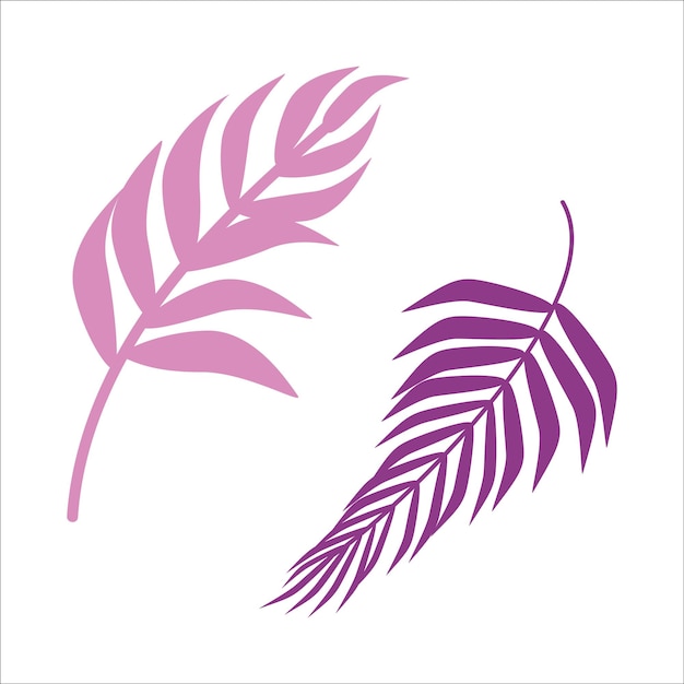 Establecer hojas abstractas Silueta hojas tropicales rosa púrpura Naturaleza ecología botánica Salones de belleza spa
