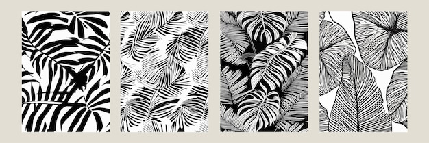 Establecer hojas exóticas de patrones sin fisuras en blanco y negro fondo decorativo de vector abstracto con estilo hojas de palmeras tropicales