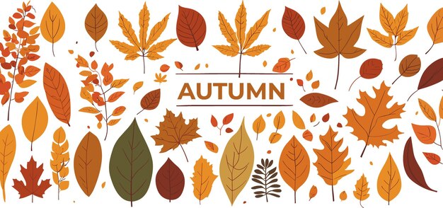Establecer hojas de otoño estilo de dibujos animados lindo ilustración vectorial