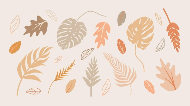 Establecer hojas vectoriales en estilo plano Silueta deja color boho Ilustración plantas simples y ramita