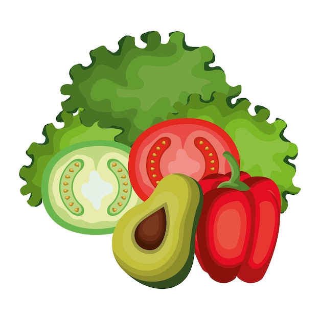 Vector establecer iconos de comida nutritiva aislado vector diseño de ilustración