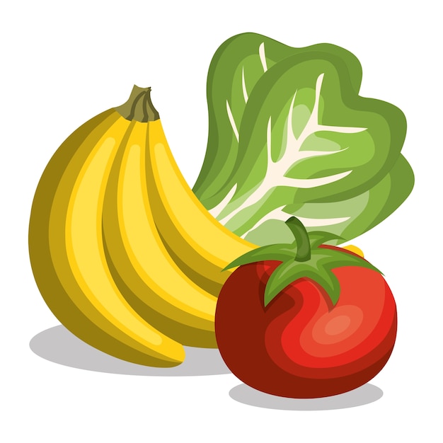 Establecer iconos de comida nutritiva aislado vector diseño de ilustración