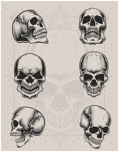 Establecer ilustración seis cabeza de calavera