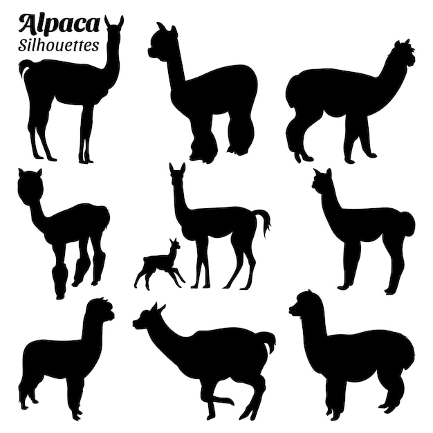 Establecer ilustración de vector de silueta de alpaca