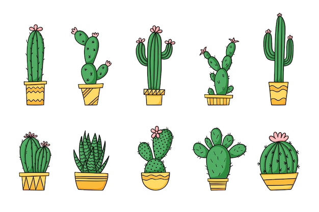 Establecer lindos cactus de dibujos animados y suculentas en macetas Ilustración vectorial aislada sobre fondo blanco