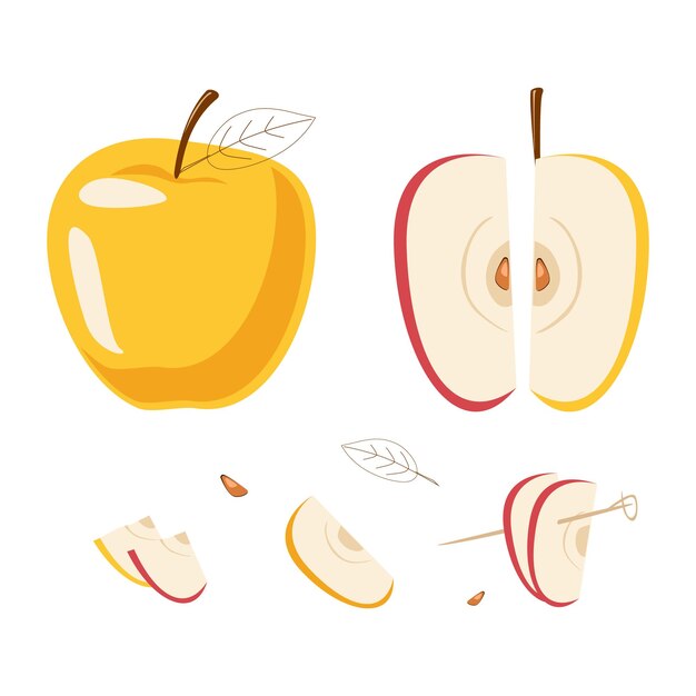 Establecer manzanas y rodajas Frutas saludables Ilustración dibujada a mano Aislado sobre fondo blanco