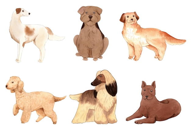 Vector establecer perros para pintar con acuarela de diseño