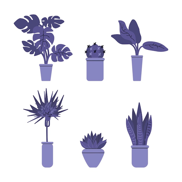 Establecer plantas caseras en macetas Ilustración plana de colores azules