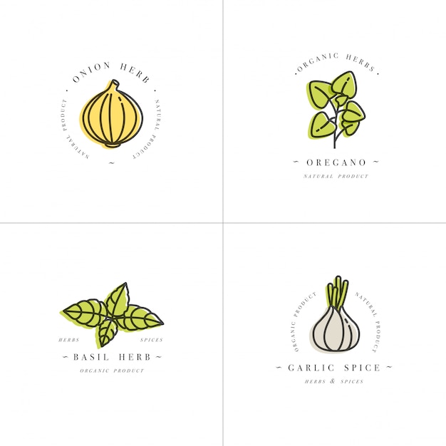 Establecer plantillas de diseño colorido logo y emblemas - hierbas y especias. icono de hierba italiana. logotipos en estilo lineal de moda aislado sobre fondo blanco.