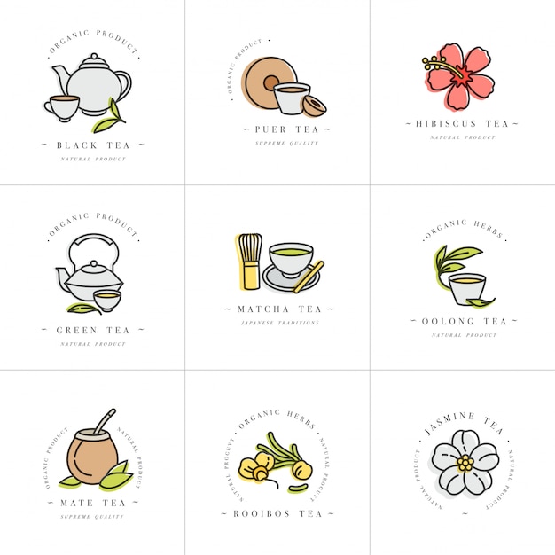 Vector establecer plantillas de diseño colorido logotipo y emblemas - hierbas orgánicas y tés. icono de diferentes tés. logotipos en estilo lineal de moda aislado sobre fondo blanco.