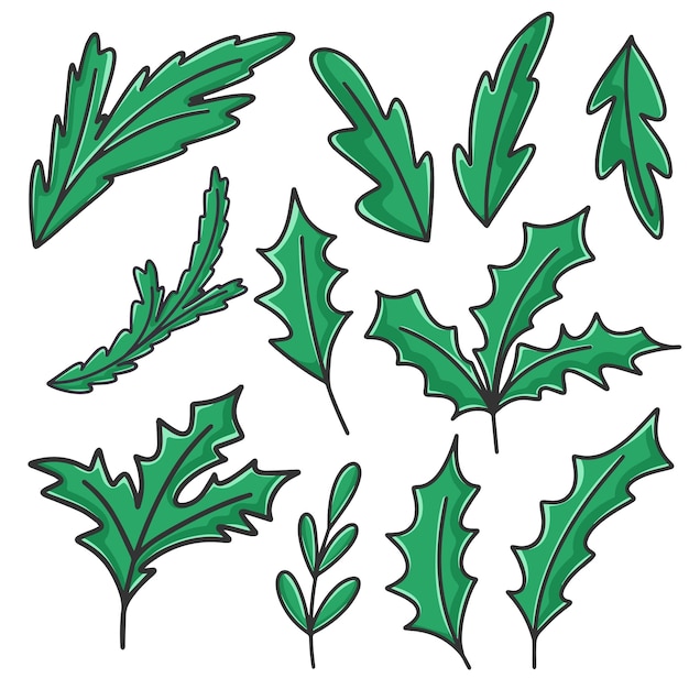 Establecer ramitas de hoja caduca y abeto para imágenes prediseñadas de decoración de invierno Elementos botánicos dibujados a mano aislados