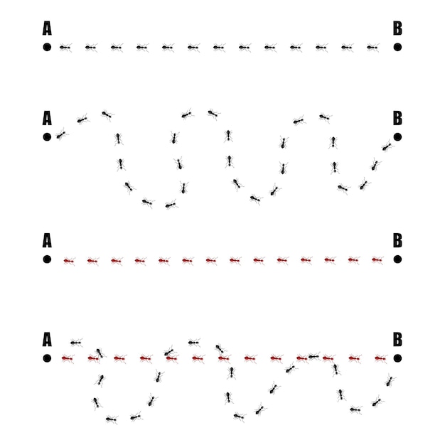 Establecer seguimiento de hormigas aisladas sobre fondo blanco. Columna de hormigas rojas y negras caóticas corriendo en mapeo de señales. Diseñar elementos planos de la naturaleza. Ilustración vectorial.