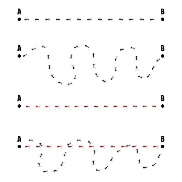 Establecer seguimiento de hormigas aisladas sobre fondo blanco. columna de hormigas rojas y negras caóticas corriendo en mapeo de señales. diseñar elementos planos de la naturaleza. ilustración vectorial.