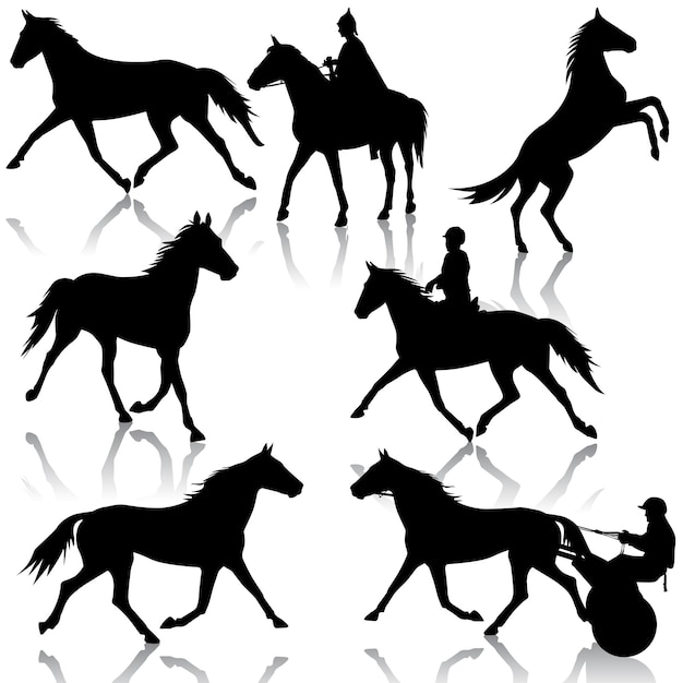 Establecer silueta vectorial de caballo y jinete