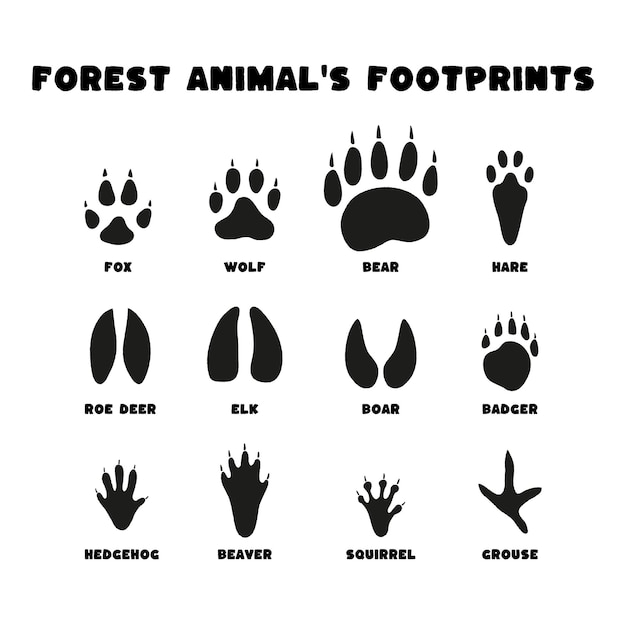 Establecer siluetas negras aisladas de huellas de animales del bosque sobre fondo blanco en estilo plano