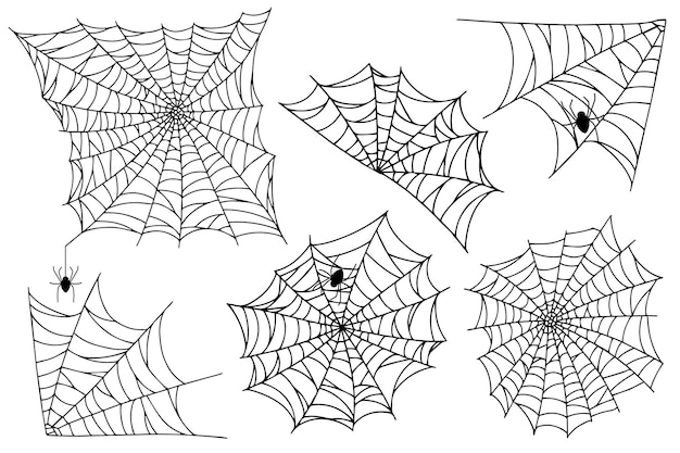 Establecer tela de araña aislado sobre fondo blanco. Espeluznantes telarañas de Halloween con arañas. Ilustración de vector de contorno. Elemento de diseño.